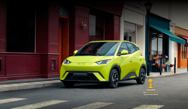 BYD DOLPHIN MINI
