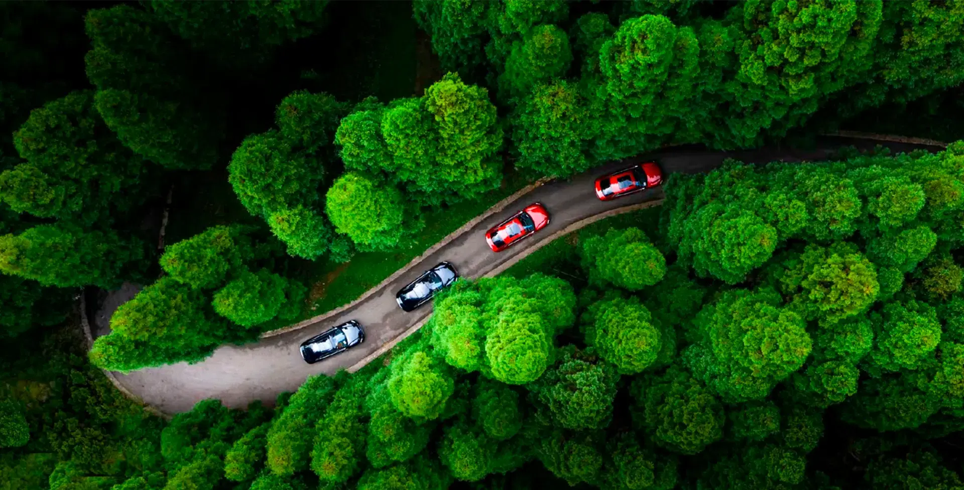 Innovación en BYD